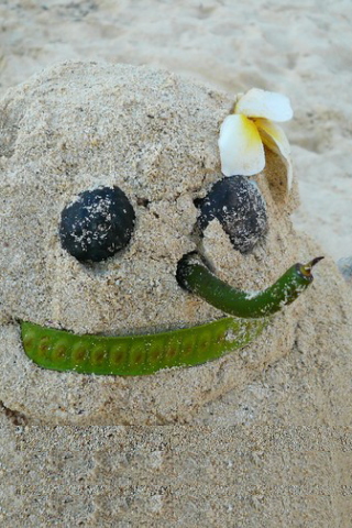 beachbuddy